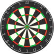 Designa Bristle Dartboard