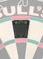 Bulls NL Spirit Level to a Bristle Dartboard