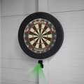 Bulls NL Laser Green Oche