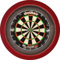LED Dartboard Lightning with Surround
