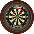 LED Dartboard Lightning with Surround