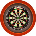LED Dartboard Lightning with Surround