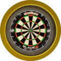 LED Dartboard Lightning with Surround