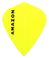 Amazon Flights Kite