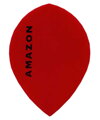 Amazon Flights Pear