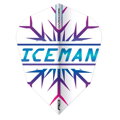 Red Dragon Set of Flights letek Gerwyn Price Iceman Snawflake