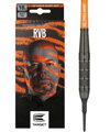 Target Softtips Darts Raymond van Barneveld RVB Brass 18g