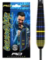 Red Dragon Steeltip Darts Luke Humhries WC Brass 20g