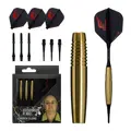 Cosmo Darts Softtip Darts Andrew Gilding 21g