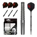 Cosmo Darts Softtip Darts Darius Labanauskas V2 19g