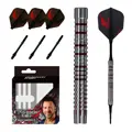 Cosmo Darts Softtip Darts David Cameron V2 22g