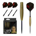 Cosmo Darts Softtip Darts Andrew Gilding 24g
