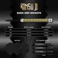 Mission Steeltip Darts Kinsuji 22g