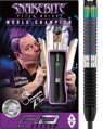 Red Dragon Steeltip Darts Peter Wright WC Diamond Fusion SE 24g