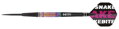 Red Dragon Steeltip Darts Peter Wright WC Tapered 23g