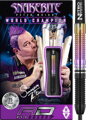 Red Dragon Steeltip Darts Peter Wright World Champion 25g