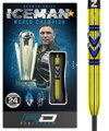 Red Dragon Steeltip Darts Gerwyn Price Avalanche Gold 24g