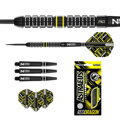 Red Dragon Steeltip Darts Astraeus Q4X Parallel 26g