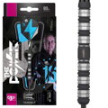 Target Steeltip Darts Phil Taylor The Power Series Black 21g