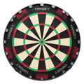 Target Bristle Dartboard TOR
