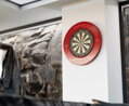 Target Bristle Dartboard TOR
