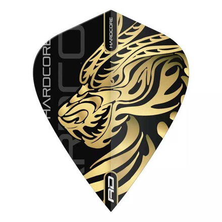 Red Dragon Flights Jonny Clayton Gold Dragon Kite