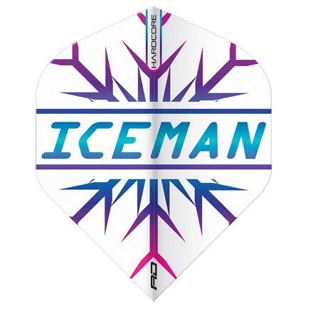 Red Dragon Flights Gerwyn Price Rainbow Snowflake