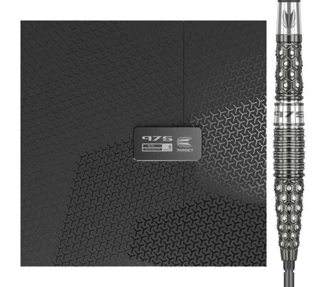 Target Steeltip Darts 975 03 Swiss 21g