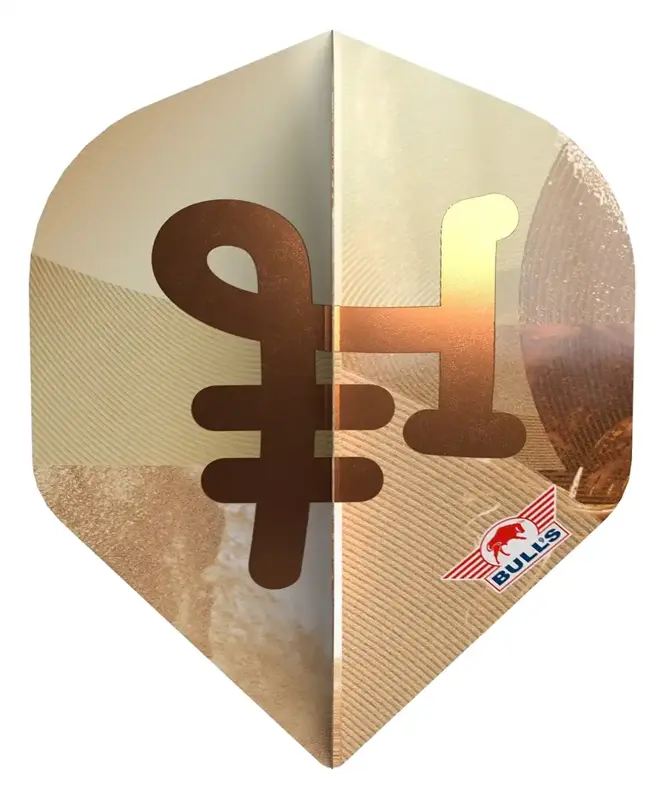 Bulls NL Flights Bronzo No.2 Bulls NL Flights Bronzo No.2